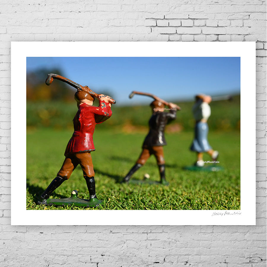 The Minis - 9x9 image in a 12x12 (and 11x14) Floated in a White Wood Frame