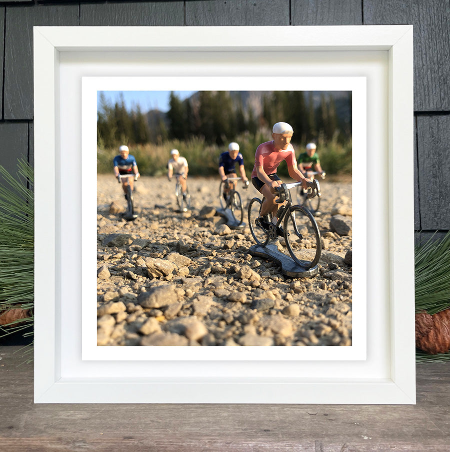 The Minis - 9x9 image in a 12x12 (and 11x14) Floated in a White Wood Frame