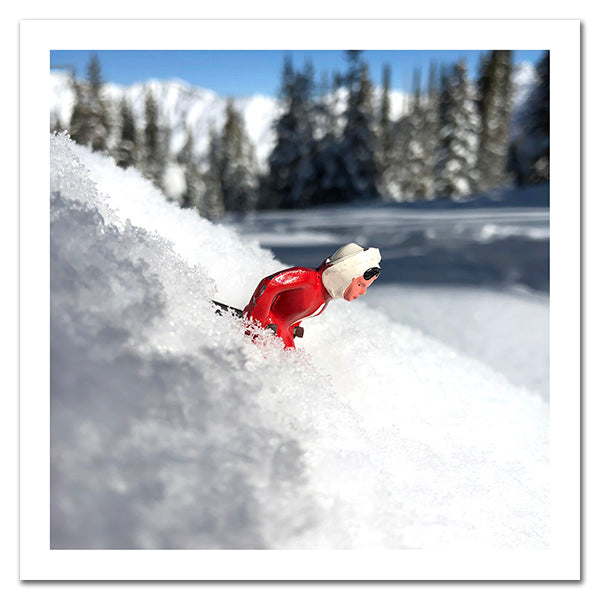 ski art by Hooey Mountain