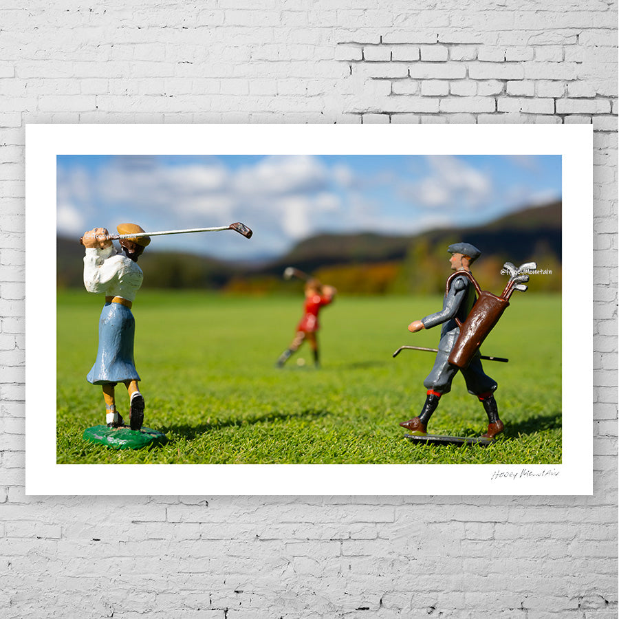The Minis - 9x9 image in a 12x12 (and 11x14) Floated in a White Wood Frame