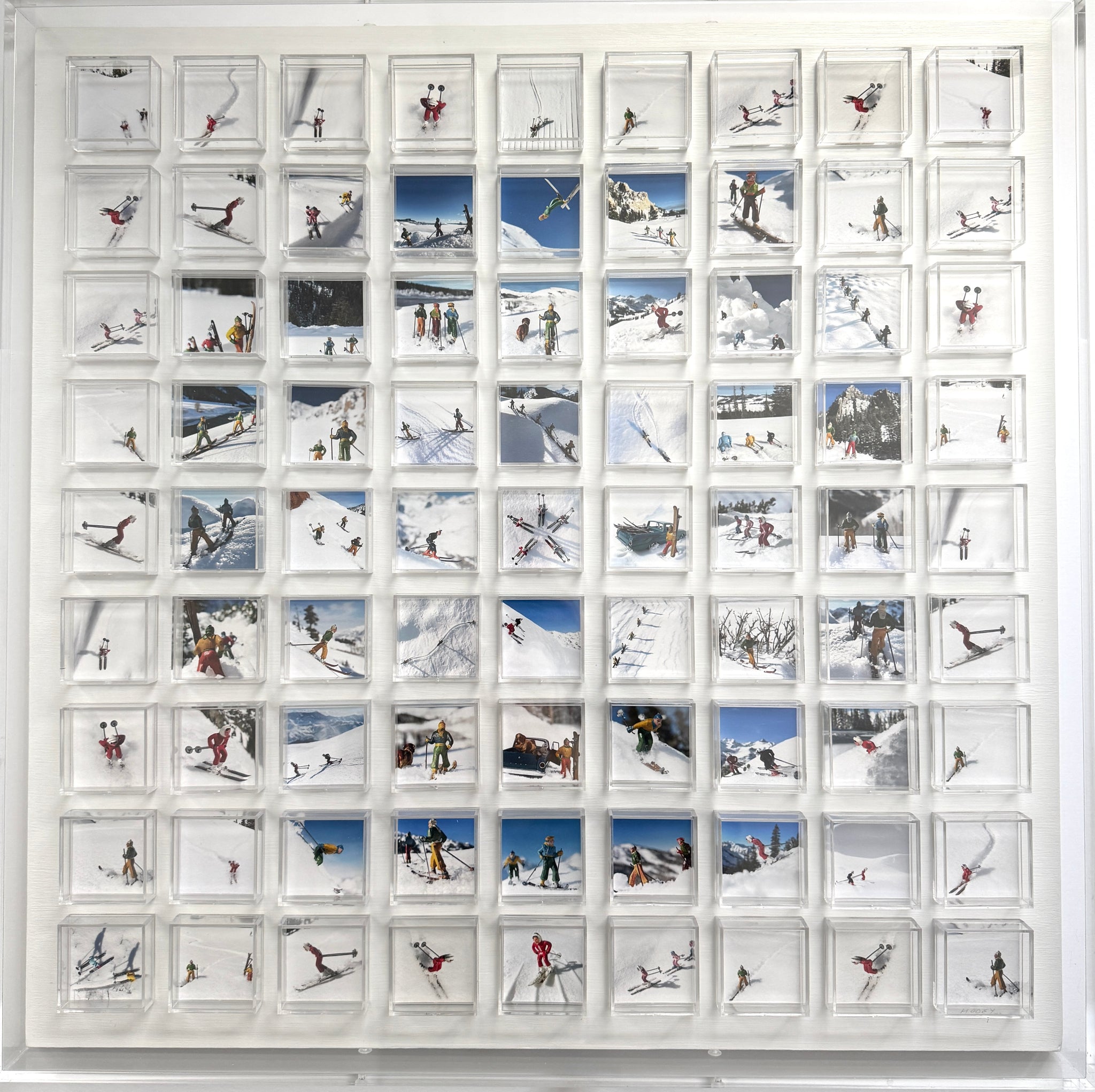 Skier's Bubble - World -